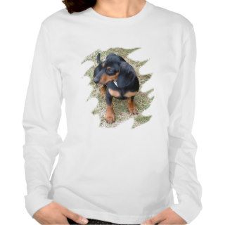 Doxie Love Ladies Sleeved T shirts
