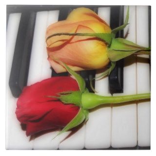 Piano keys  rose  tile