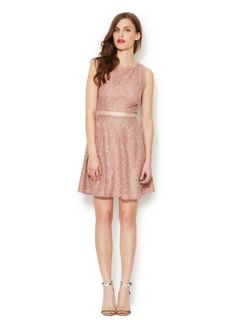 Lace Swing Dress by Ava & Aiden