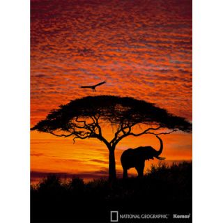 Brewster Home Fashions Komar African Sunset 4 Panel Wall Mural