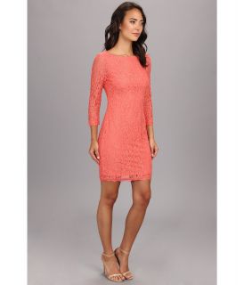 Adrianna Papell L/S Lace Dress