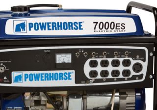 Powerhorse Portable Generator with Electric Start — 7000 Surge Watts, 5500 Rated Watts, Model# DFD7000  Portable Generators