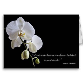 Orchid on Black Thank You for Your Sympathy Cards