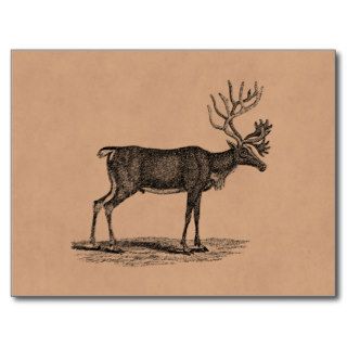 Vintage Reindeer Illustration   1800's Christmas Postcard