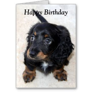 Dachshund puppy dog cute photo birthday card