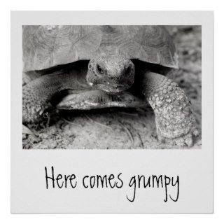 Grumpy Turtle Print
