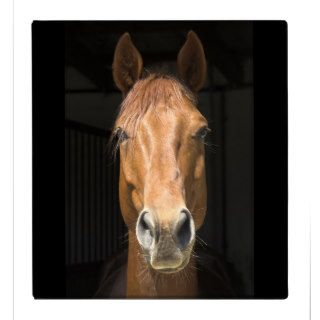 Horse Face Photograph Binder