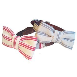 ticking stripe dog bow ties by mutts & hounds