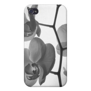 Black and White Orchid Branches iPhone 4 Cases