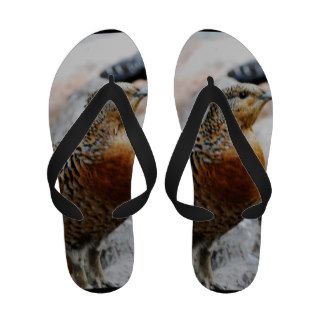 Western Capercaillie Flip Flops