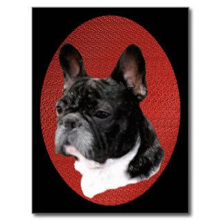 French Bulldog Portrait Postcard
