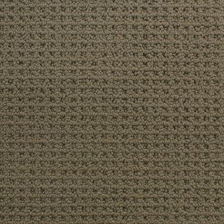 STAINMASTER Active Family San Domenico Brown Fashion Forward Indoor Carpet