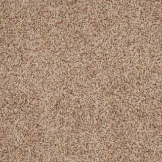 STAINMASTER Trusoft Private Oasis I 12 Florence Fashion Forward Indoor Carpet