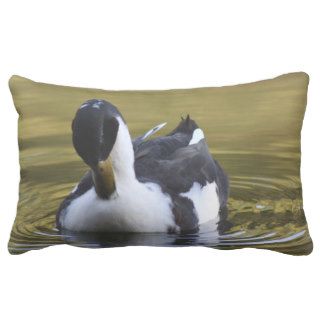 Black and White Duck Pillow