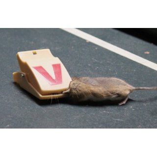 Victor M130 Quick Set Mouse Trap  Rodent Traps  Patio, Lawn & Garden