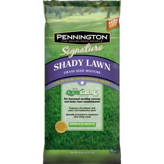 Pennington Signature 5 lbs Shade Fescue Grass Seed Mixture