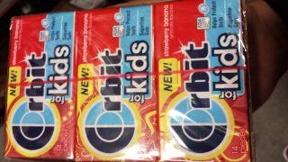 Orbit Gum for Kids Strawberry Banana 12 Count  Chewing Gum  Grocery & Gourmet Food