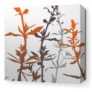 Inhabit Morning Glory Wildflower Stretched Graphic Art on Canvas in Silver an