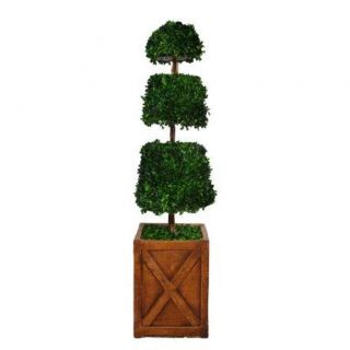 Laura Ashley 53 inch Preserved Natural Spiral Boxwood Cone Topiary In 13 inch Fiberstone Planter