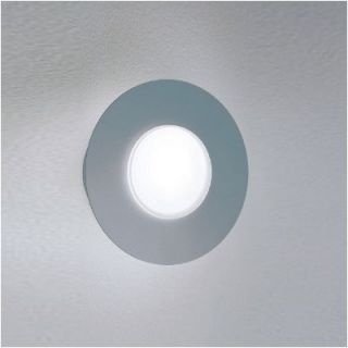 Zaneen Lighting Duo Circular Wall or Ceiling Flush Mount D9 2009