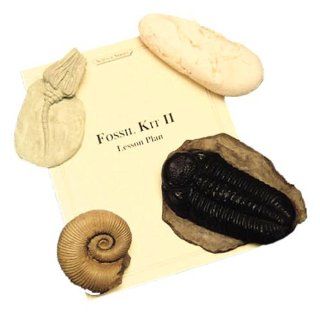 Slullduggery   Fossil Kit II   Classroom Science Kit Toys & Games