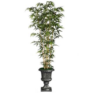 Laura Ashley 86 inch Tall Natural Bamboo Tree In 16 inch Fiberstone Planter