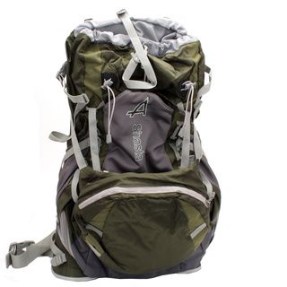 Shasta Backpack, 4200, Green