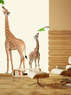 Giraffe Wall Decals (2 PC) by Walls Need Love