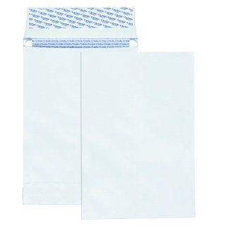 Columbian CO831 9x12 Inch DuraShield Security Tinted White Envelopes, 100 Count  Catalog Envelopes 