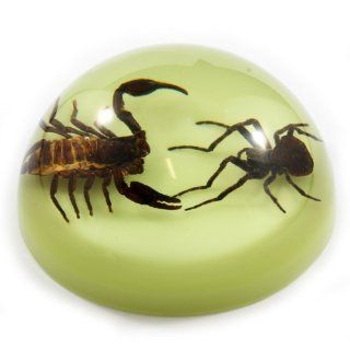4" Fighting Scorpion & Spider Dome Paperweight Toys & Games