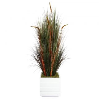 Laura Ashley 66 inch Tall Onion Grass With Cattails In Fiberstone Planter
