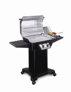 Ducane 2005 16002201 864 Square Inch 2 Burner Propane Gas Grill with Side Burner and Black Base (Discontinued by Manufacturer)  Patio, Lawn & Garden