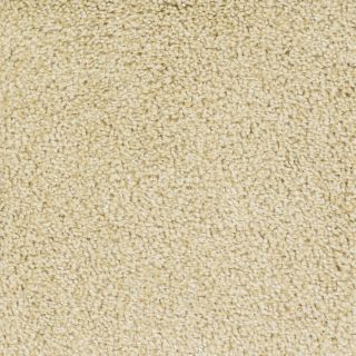 Dixie Group Trusoft Shafer Valley 113 Yellow Cut Pile Indoor Carpet