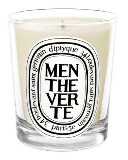 Menthe Verte Scented Candle   Diptyque