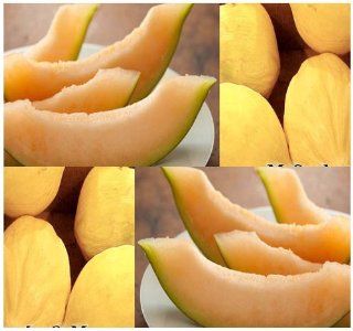 1 oz (750+ seeds) Crenshaw Cantaloupe Melon Seeds Cucumis melo var. inodorus ~ Gourmet Type MOUTH WATERING  Tomato Plants  Patio, Lawn & Garden