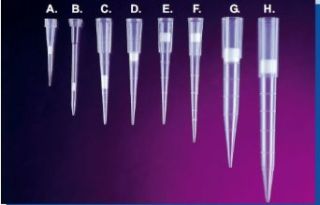 .5 10ul pipet tip for Eppendorf (45mm) (960 (10 racks of 96)) Science Lab Specialty Pipette Tips
