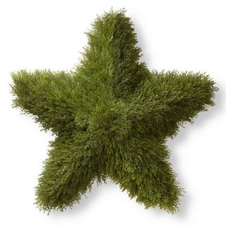 Artificial Topiary 36" Juniper Star
