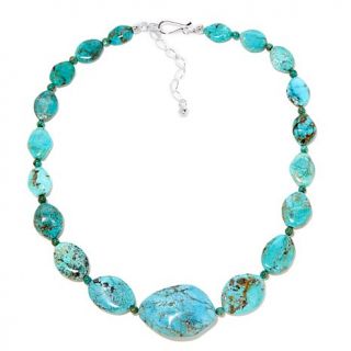 Jay King Anhui Turquoise Sterling Silver 18 1/4" Necklace