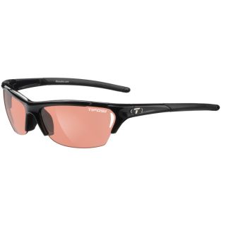 Tifosi Optics Radius Photochromic Sunglasses