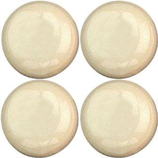 Planet Waves PWES11 End Pin/12 Ivory Plastic/Plain Musical Instruments