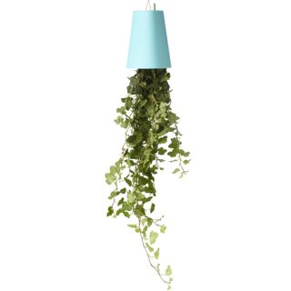 Sky Planter Upside Down Indoor Plant Pot   Pastel Blue      Homeware
