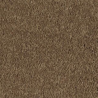 Shaw Soft & Cozy II Baked Pecan Textured Indoor Carpet