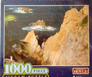 According to Hoyle   Church in Snow 1000 Piece Puzzle Toys & Games