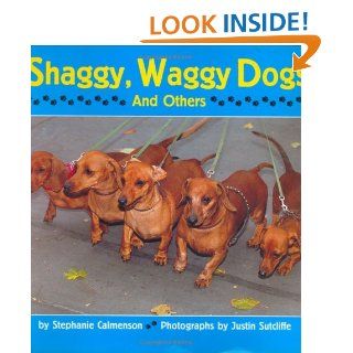 Shaggy, Waggy Dogs (And Others) Stephanie Calmenson, Justin Sutcliffe 0046442776059  Children's Books