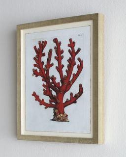 Red Coral D (Tubipora Musica Coral) Print
