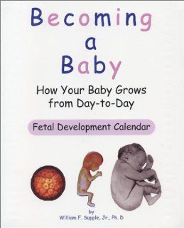 Becoming a Baby How Your Baby Grows from Day to Day William F. Supple Jr. 9780965391146 Books