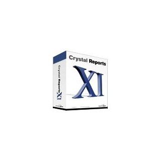 Crystal Reports XI Professional Edition Software