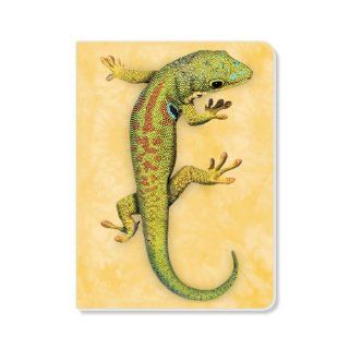 ECOeverywhere Gecko Journal, 160 Pages, 7.625 x 5.625 Inches, Multicolored (jr70018)  Hardcover Executive Notebooks 
