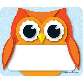 Carson Dellosa Colorful Owl, Name Tags, 40 Name Tagss