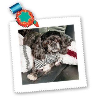 qs_54779_3 Jos Fauxtographee Realistic   An Adorable House Pet Shiatsu Dog in The Back Seat of Car After Having Been Groomed in a Scarf   Quilt Squares   8x8 inch quilt square